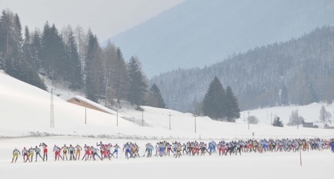 COMetaPRess/Brena/CanonDigital