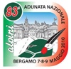 Logo adunata alpini 2010